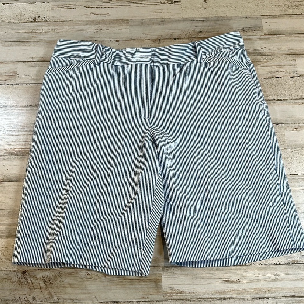 Talbots Blue and White Striped Women Shorts